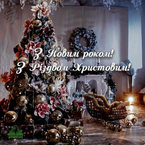 &Zcy; &Ncy;&ocy;&vcy;&icy;&mcy; &rcy;&ocy;&kcy;&ocy;&mcy;&excl; &Zcy; &Rcy;&iukcy;&zcy;&dcy;&vcy;&ocy;&mcy; &KHcy;&rcy;&icy;&scy;&tcy;&ocy;&vcy;&icy;&mcy;&excl;