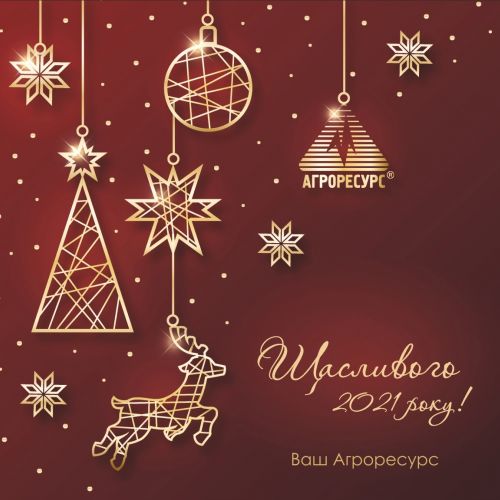 &Zcy; &Ncy;&ocy;&vcy;&icy;&mcy; 2021 &rcy;&ocy;&kcy;&ocy;&mcy; &tcy;&acy; &Rcy;&iukcy;&zcy;&dcy;&vcy;&ocy;&mcy; &KHcy;&rcy;&icy;&scy;&tcy;&ocy;&vcy;&icy;&mcy;&excl;